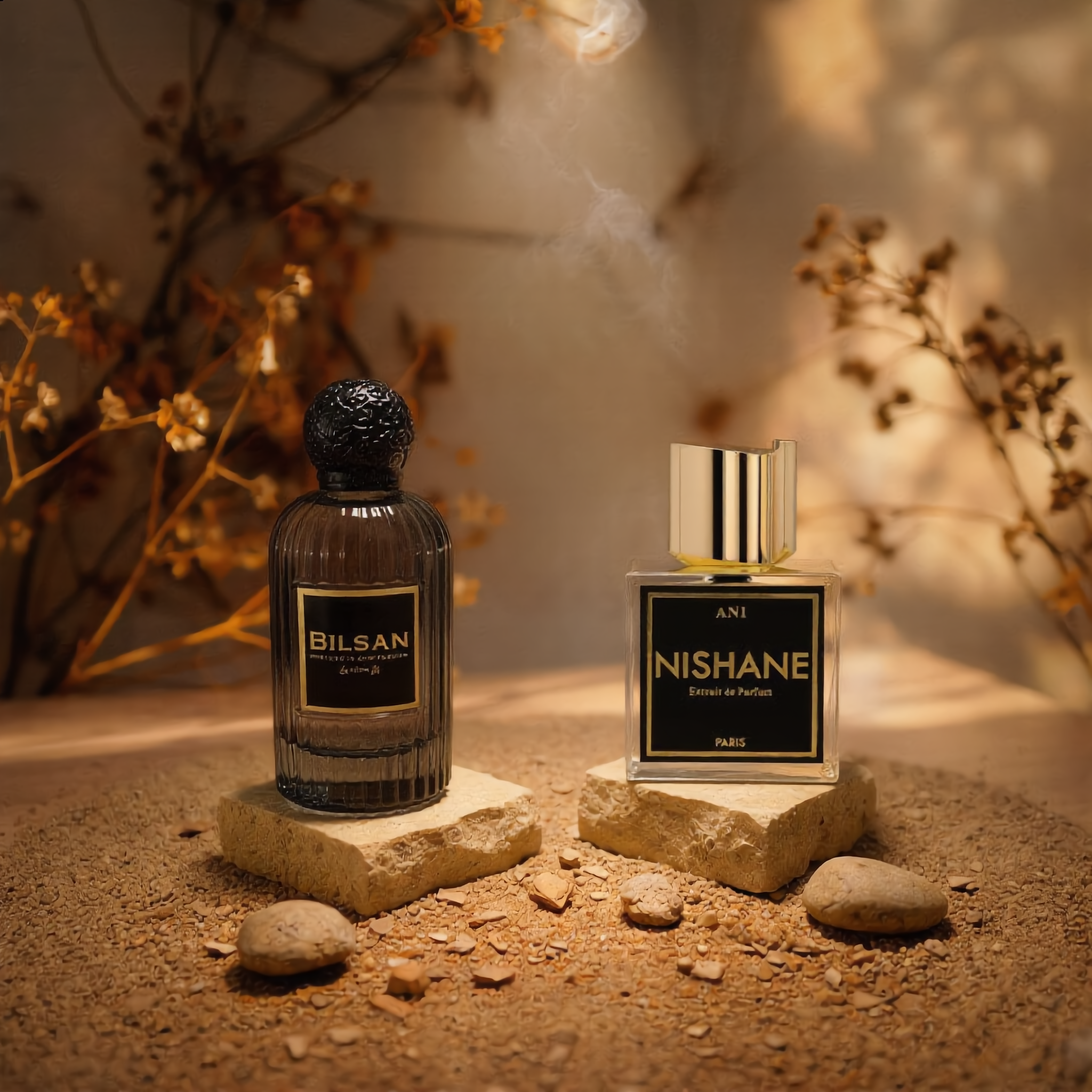 Ani Nishane By Bilsan